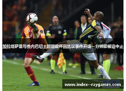 加拉塔萨雷与费内巴切土超超级杯因抗议事件开场一分钟即被迫中止 加拉塔萨雷与费内巴切土超超级杯因抗议事件开场一分钟即被迫中止