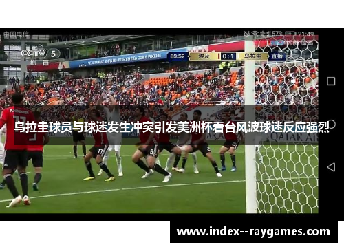 乌拉圭球员与球迷发生冲突引发美洲杯看台风波球迷反应强烈
